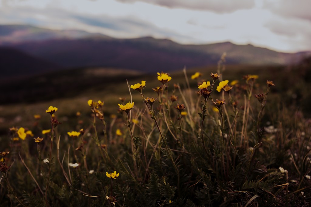 Rocky Mountain National Park, Summer&nbsp;2021